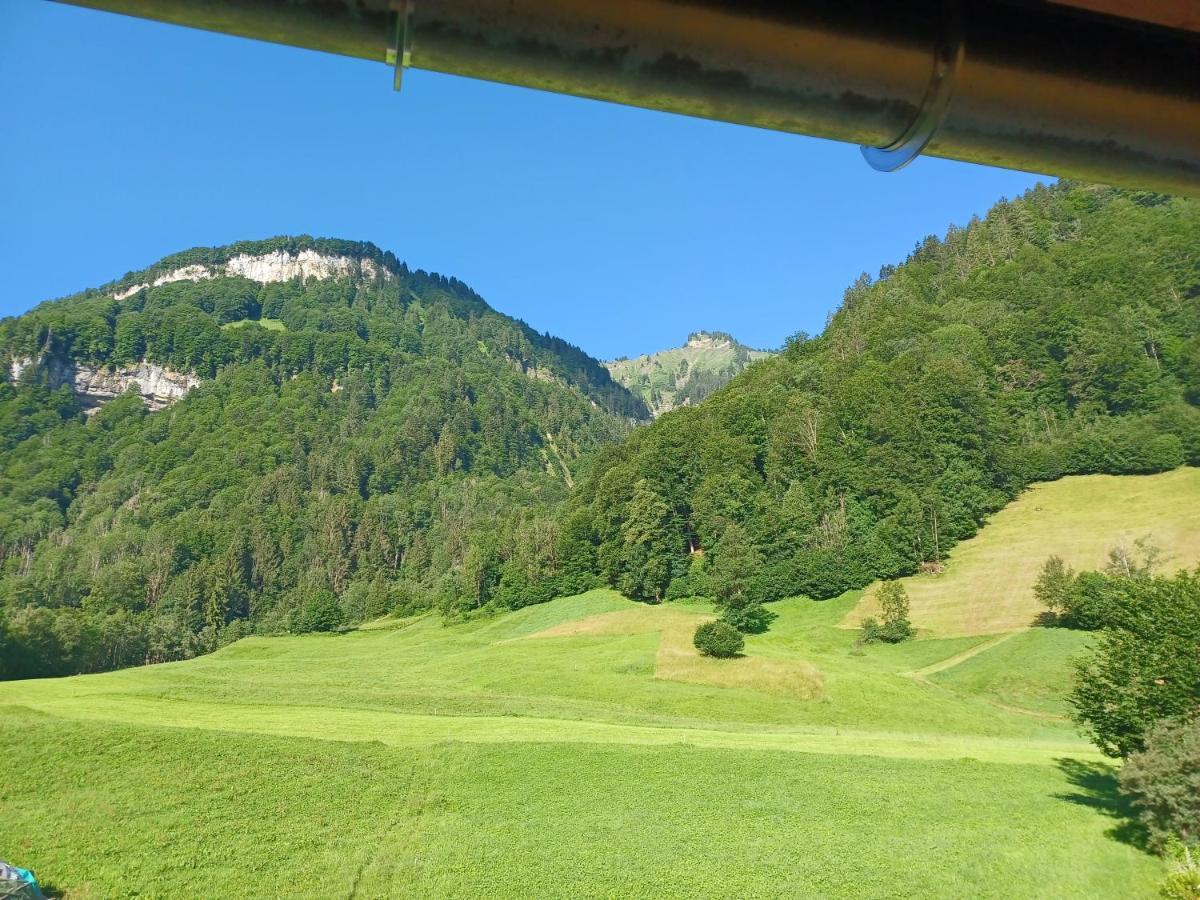 Apartment "Johann" Aktivurlaub Im Bregenzerwald Mellau Exterior foto